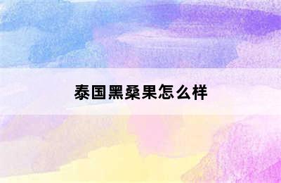 泰国黑桑果怎么样