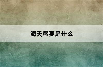 海天盛宴是什么