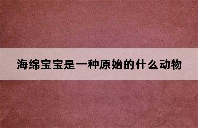 海绵宝宝是一种原始的什么动物