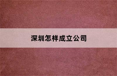 深圳怎样成立公司