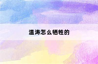 温涛怎么牺牲的