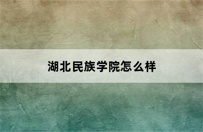 湖北民族学院怎么样