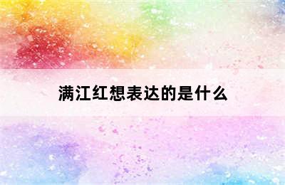 满江红想表达的是什么