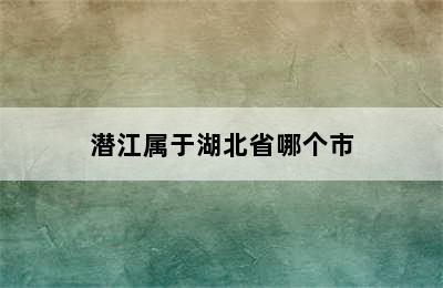 潜江属于湖北省哪个市