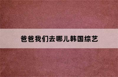 爸爸我们去哪儿韩国综艺