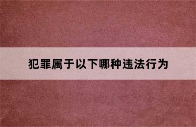 犯罪属于以下哪种违法行为