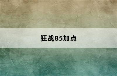 狂战85加点