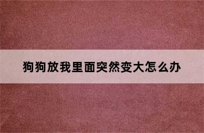 狗狗放我里面突然变大怎么办