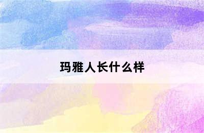 玛雅人长什么样