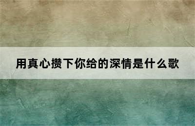 用真心攒下你给的深情是什么歌