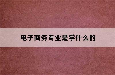 电子商务专业是学什么的