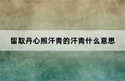 留取丹心照汗青的汗青什么意思