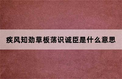 疾风知劲草板荡识诚臣是什么意思