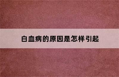 白血病的原因是怎样引起