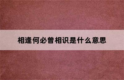 相逢何必曾相识是什么意思