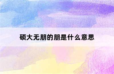 硕大无朋的朋是什么意思