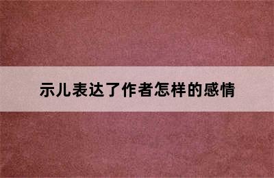 示儿表达了作者怎样的感情