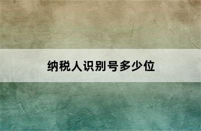 纳税人识别号多少位