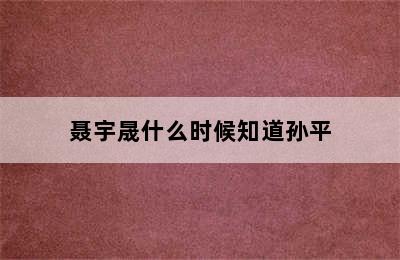 聂宇晟什么时候知道孙平