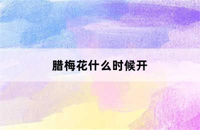 腊梅花什么时候开