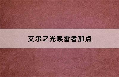 艾尔之光唤雷者加点