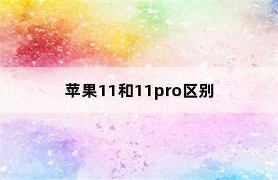 苹果11和11pro区别