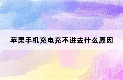 苹果手机充电充不进去什么原因