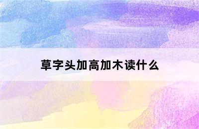 草字头加高加木读什么