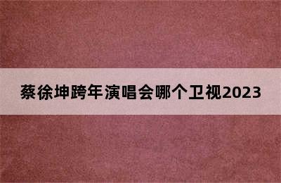 蔡徐坤跨年演唱会哪个卫视2023