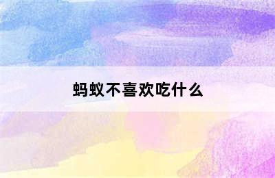 蚂蚁不喜欢吃什么