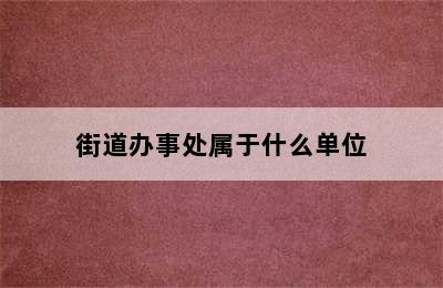 街道办事处属于什么单位