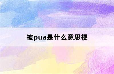 被pua是什么意思梗