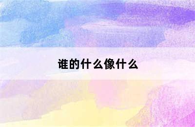 谁的什么像什么