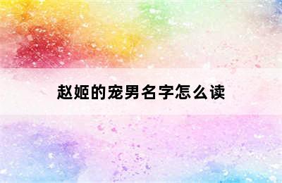 赵姬的宠男名字怎么读