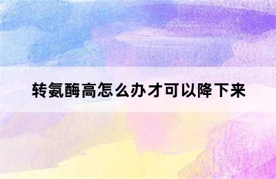 转氨酶高怎么办才可以降下来