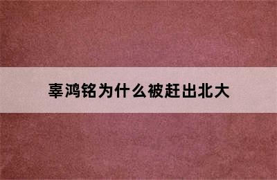 辜鸿铭为什么被赶出北大