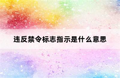 违反禁令标志指示是什么意思