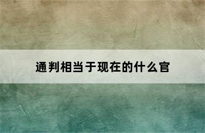 通判相当于现在的什么官