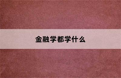 金融学都学什么