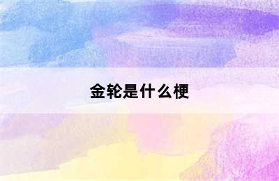 金轮是什么梗