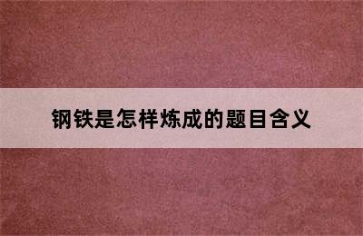 钢铁是怎样炼成的题目含义