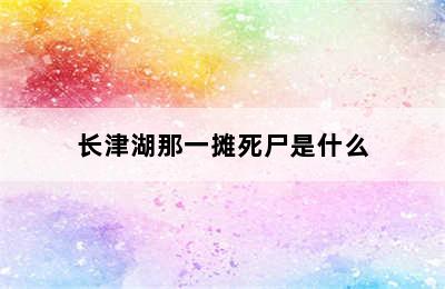 长津湖那一摊死尸是什么