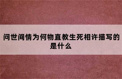 问世间情为何物直教生死相许描写的是什么