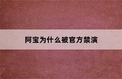 阿宝为什么被官方禁演