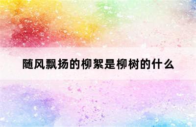 随风飘扬的柳絮是柳树的什么