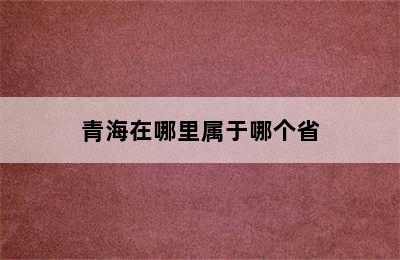 青海在哪里属于哪个省