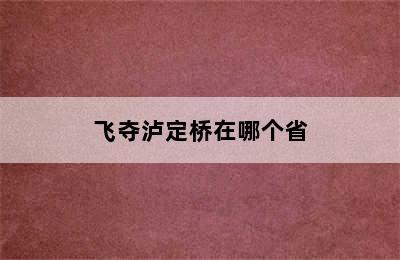 飞夺泸定桥在哪个省