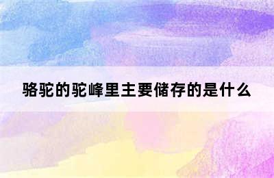 骆驼的驼峰里主要储存的是什么