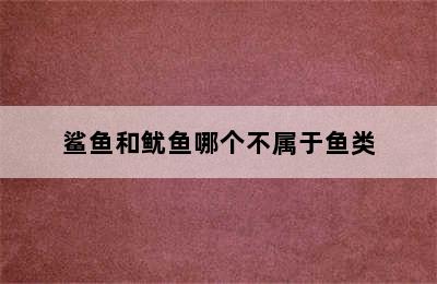 鲨鱼和鱿鱼哪个不属于鱼类