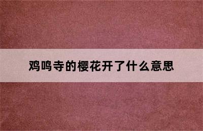 鸡鸣寺的樱花开了什么意思